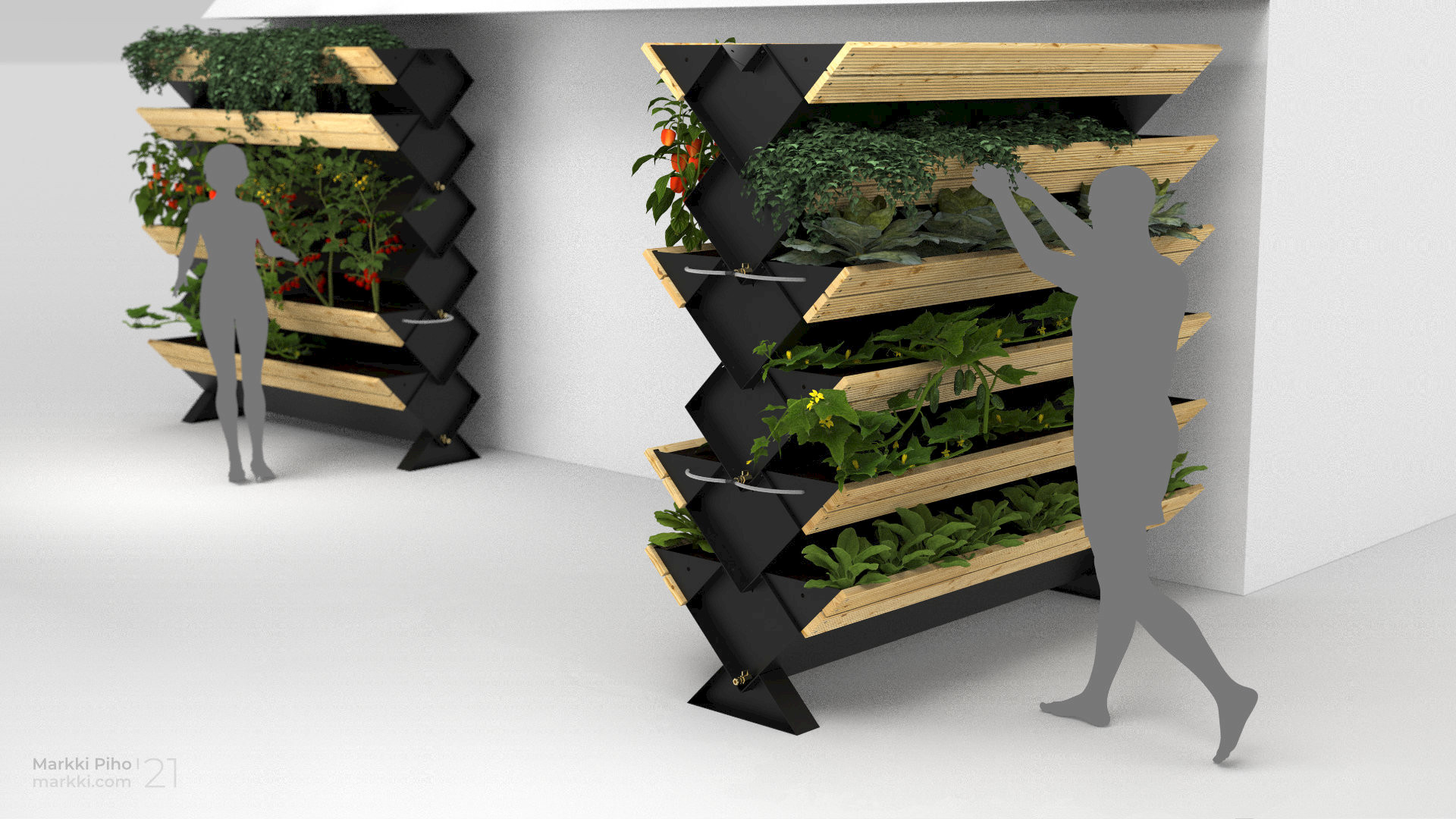 Vertical Planter and Rainwater Collector
